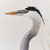 Twos Company Home Decor Crane Wall Art Set/2