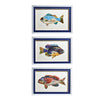 Twos Company Home Decor S/3 Fish Collage