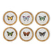 Twos Company Home Decor S/6 Butterfly Wall Art Includes 6 designs