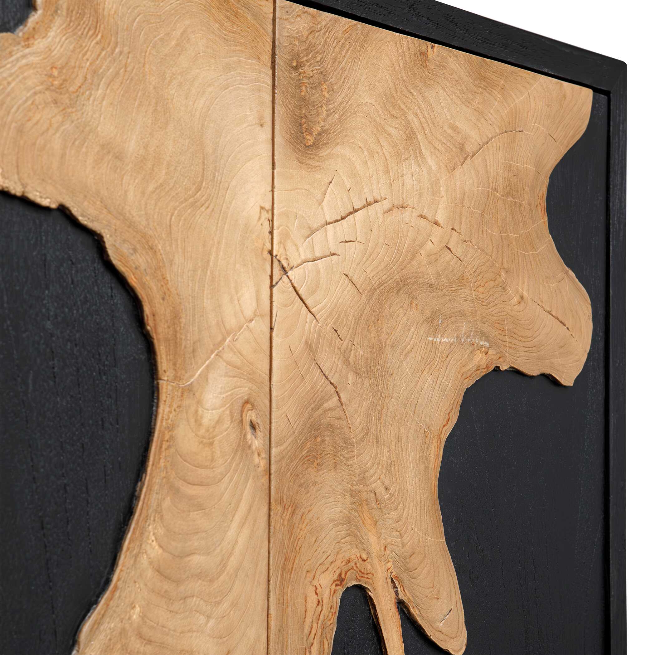 Uttermost Furniture Uttermost Andrei Teak Root 2 Door Cabinet