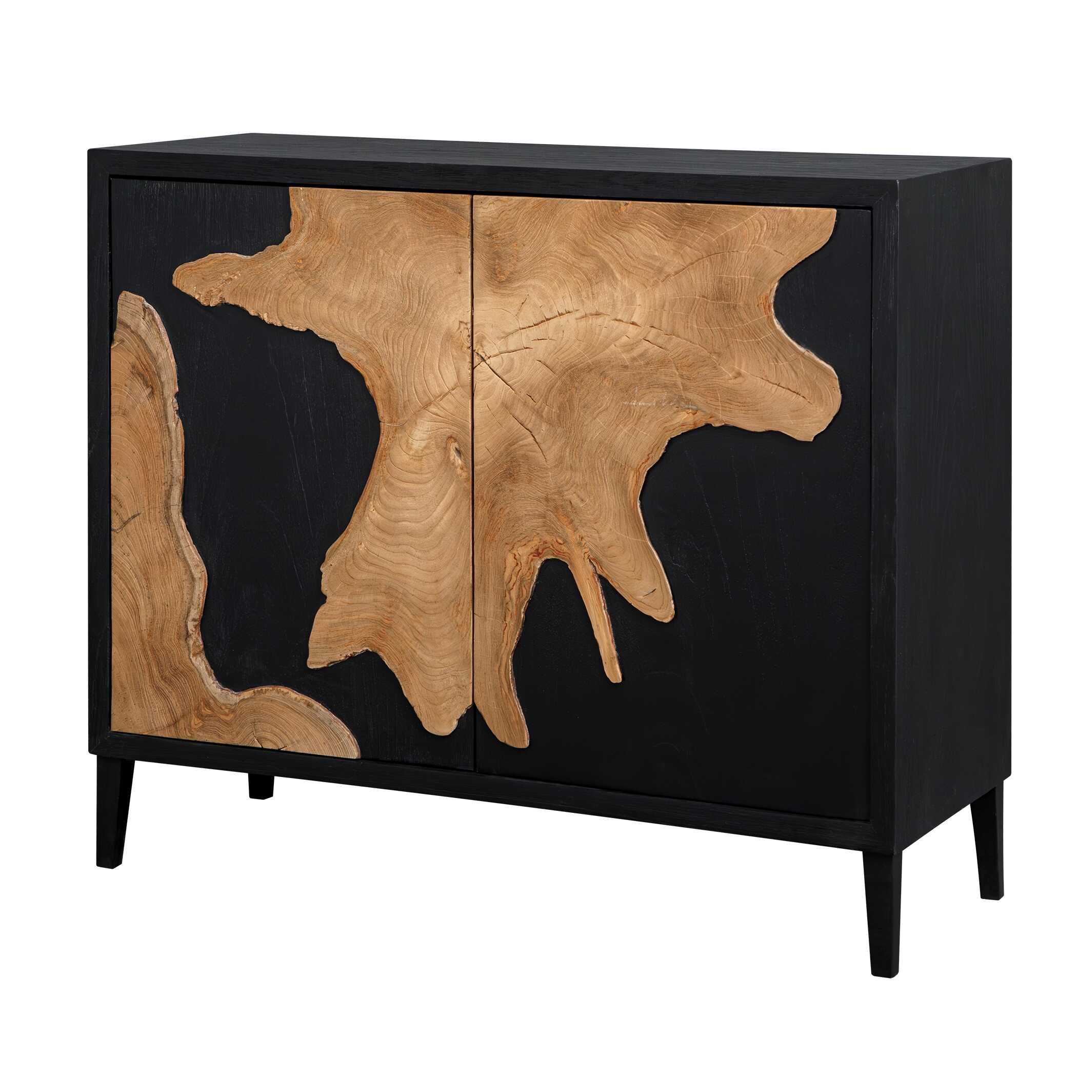 Uttermost Furniture Uttermost Andrei Teak Root 2 Door Cabinet