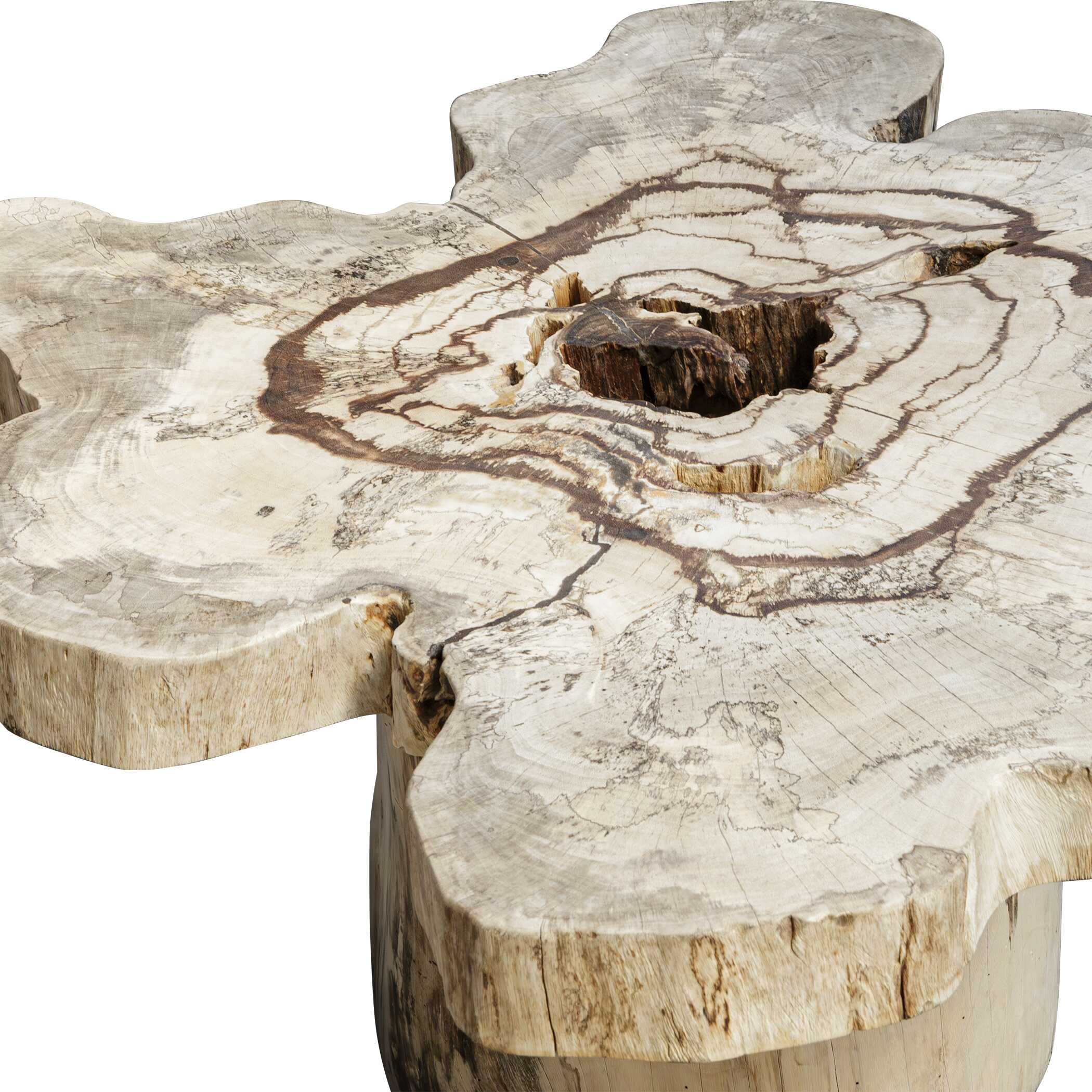 Uttermost Furniture Uttermost Anzalone Solid Wood Coffee Table