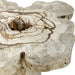 Uttermost Furniture Uttermost Anzalone Solid Wood Coffee Table