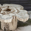 Uttermost Furniture Uttermost Anzalone Solid Wood Coffee Table