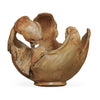 Uttermost Home Decor Uttermost Arbor Crest Indoor-Outdoor Teak Bowl