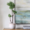 Uttermost Uttermost Arbor Strawberry Tree