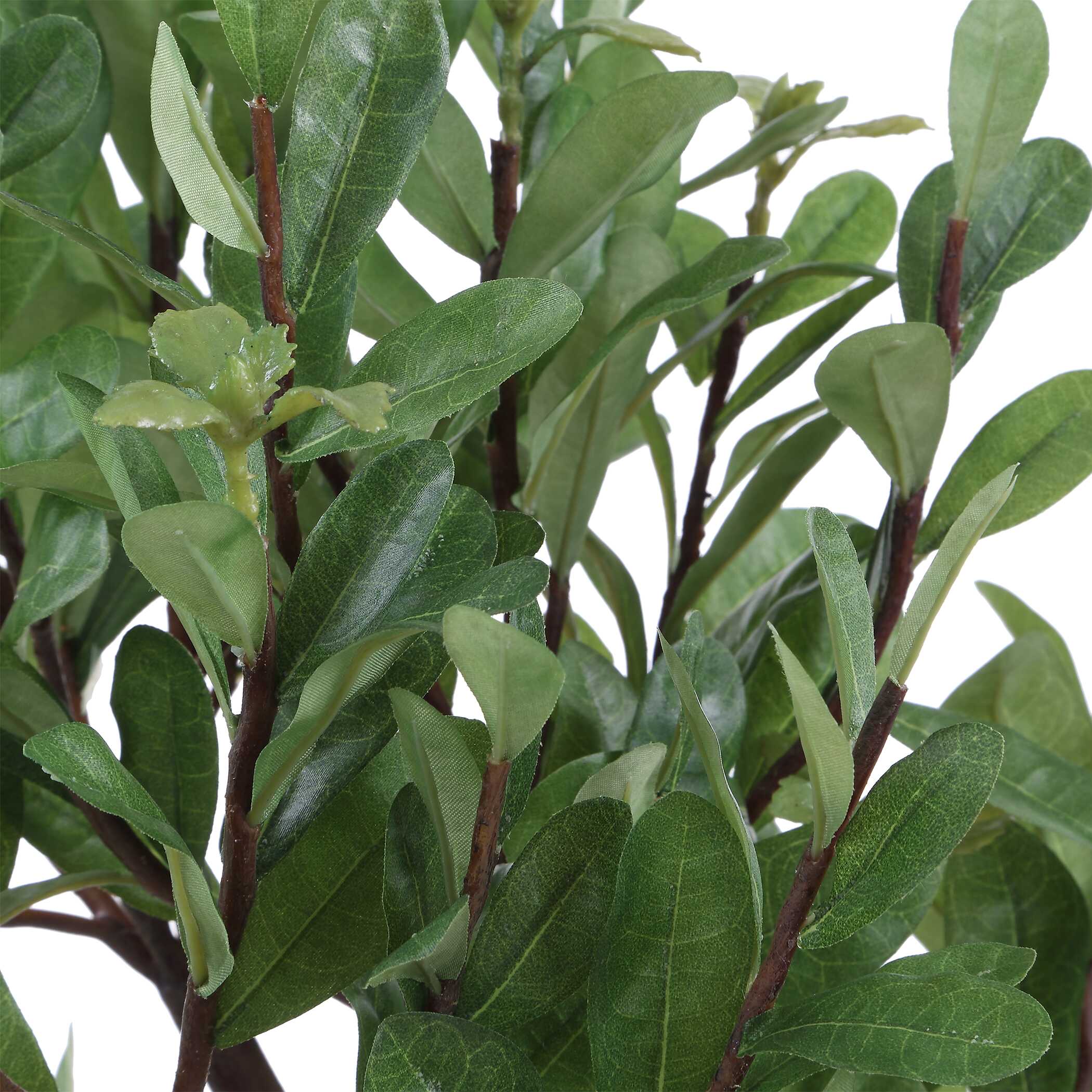 Uttermost Uttermost Arbor Strawberry Tree