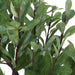 Uttermost Uttermost Arbor Strawberry Tree