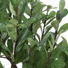 Uttermost Uttermost Arbor Strawberry Tree