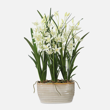 Uttermost Home Decor Uttermost Ariana Orchid Planter