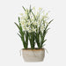 Uttermost Home Decor Uttermost Ariana Orchid Planter