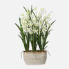 Uttermost Home Decor Uttermost Ariana Orchid Planter