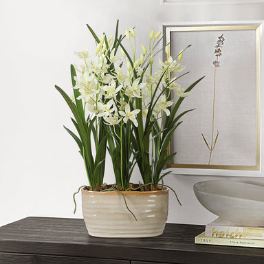 Uttermost Home Decor Uttermost Ariana Orchid Planter