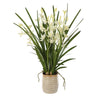 Uttermost Home Decor Uttermost Ariana Orchid Planter