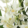 Uttermost Home Decor Uttermost Ariana Orchid Planter