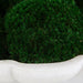 Uttermost Home Decor Uttermost Awaken Moss Centerpiece