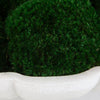 Uttermost Home Decor Uttermost Awaken Moss Centerpiece