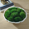 Uttermost Home Decor Uttermost Awaken Moss Centerpiece