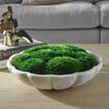 Uttermost Home Decor Uttermost Awaken Moss Centerpiece