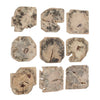 Uttermost Uttermost Bahati Tamarind Wood Bleached Wall Decor Set/9