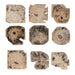 Uttermost Uttermost Bahati Tamarind Wood Bleached Wall Decor Set/9