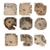 Uttermost Uttermost Bahati Tamarind Wood Bleached Wall Decor Set/9