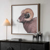 Uttermost Home Decor Uttermost Big Horn Sheep Framed Print
