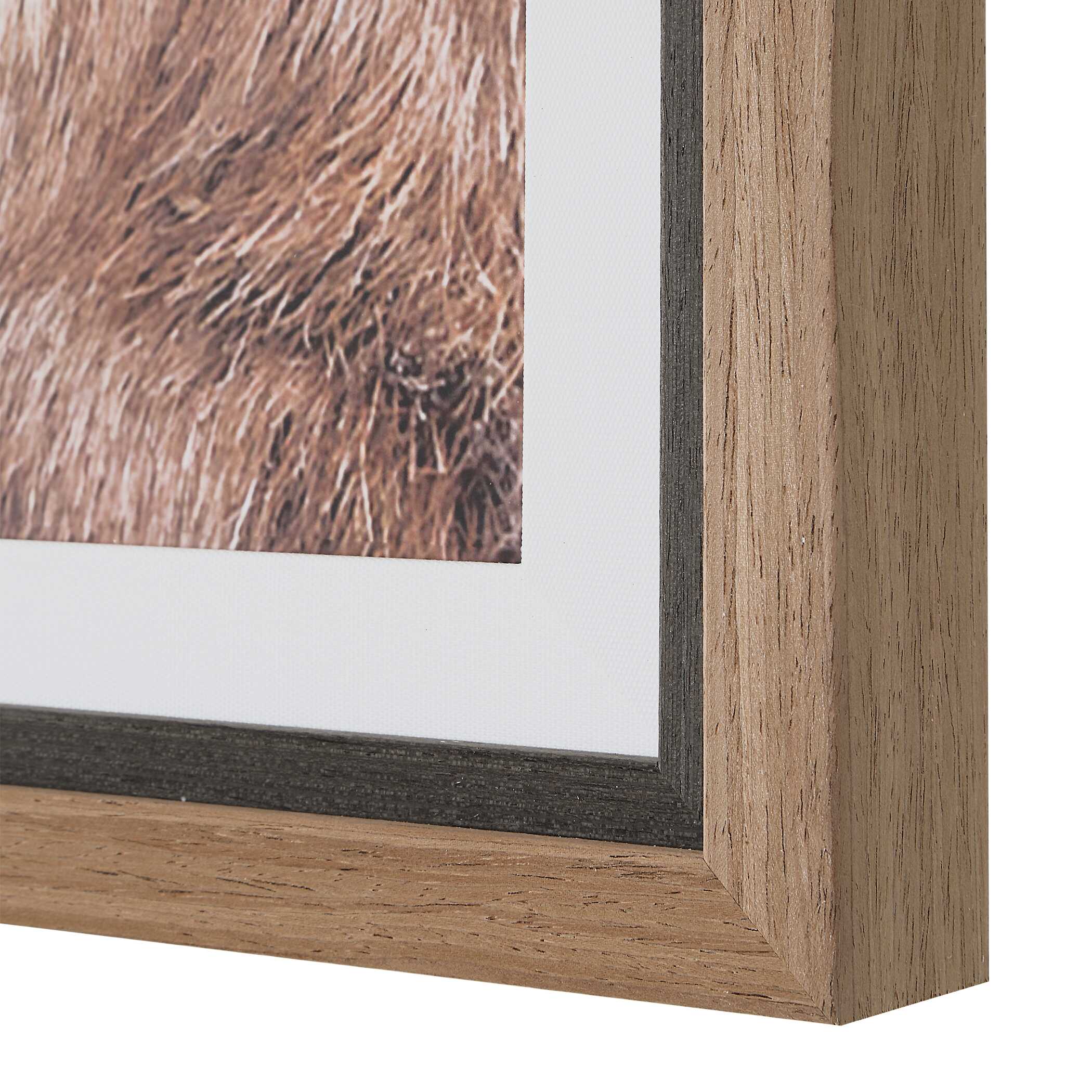 Uttermost Home Decor Uttermost Big Horn Sheep Framed Print