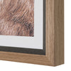 Uttermost Home Decor Uttermost Big Horn Sheep Framed Print