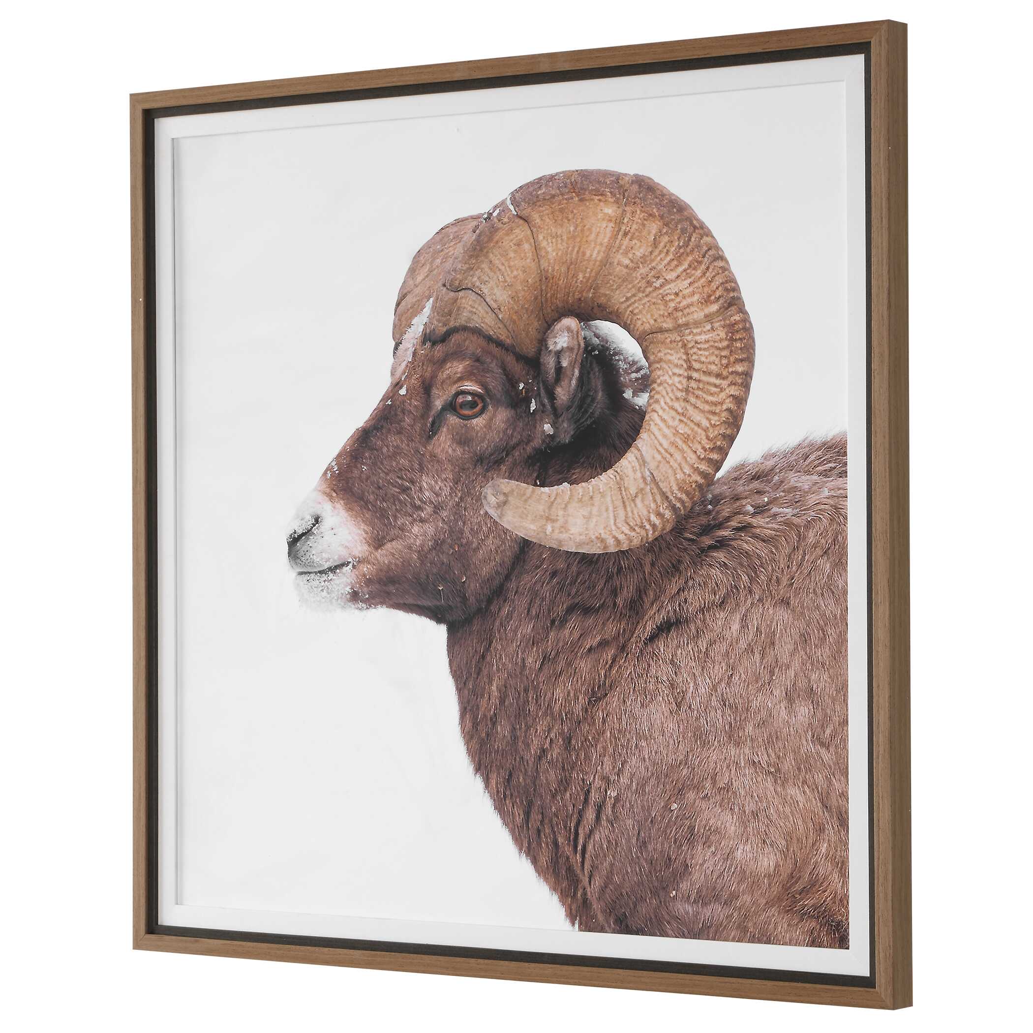 Uttermost Home Decor Uttermost Big Horn Sheep Framed Print