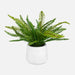 Uttermost Home Decor Uttermost Boston Fern In White Ceramic Pot