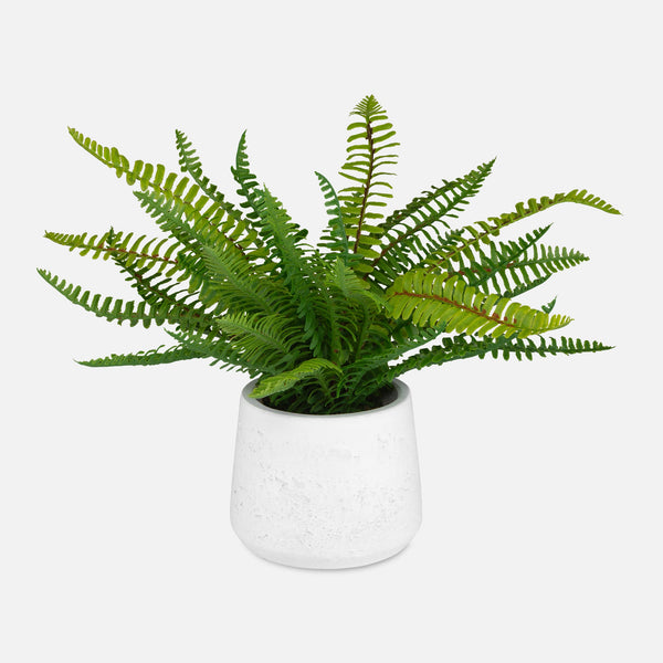 Uttermost Home Decor Uttermost Boston Fern In White Ceramic Pot