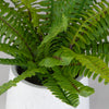 Uttermost Home Decor Uttermost Boston Fern In White Ceramic Pot