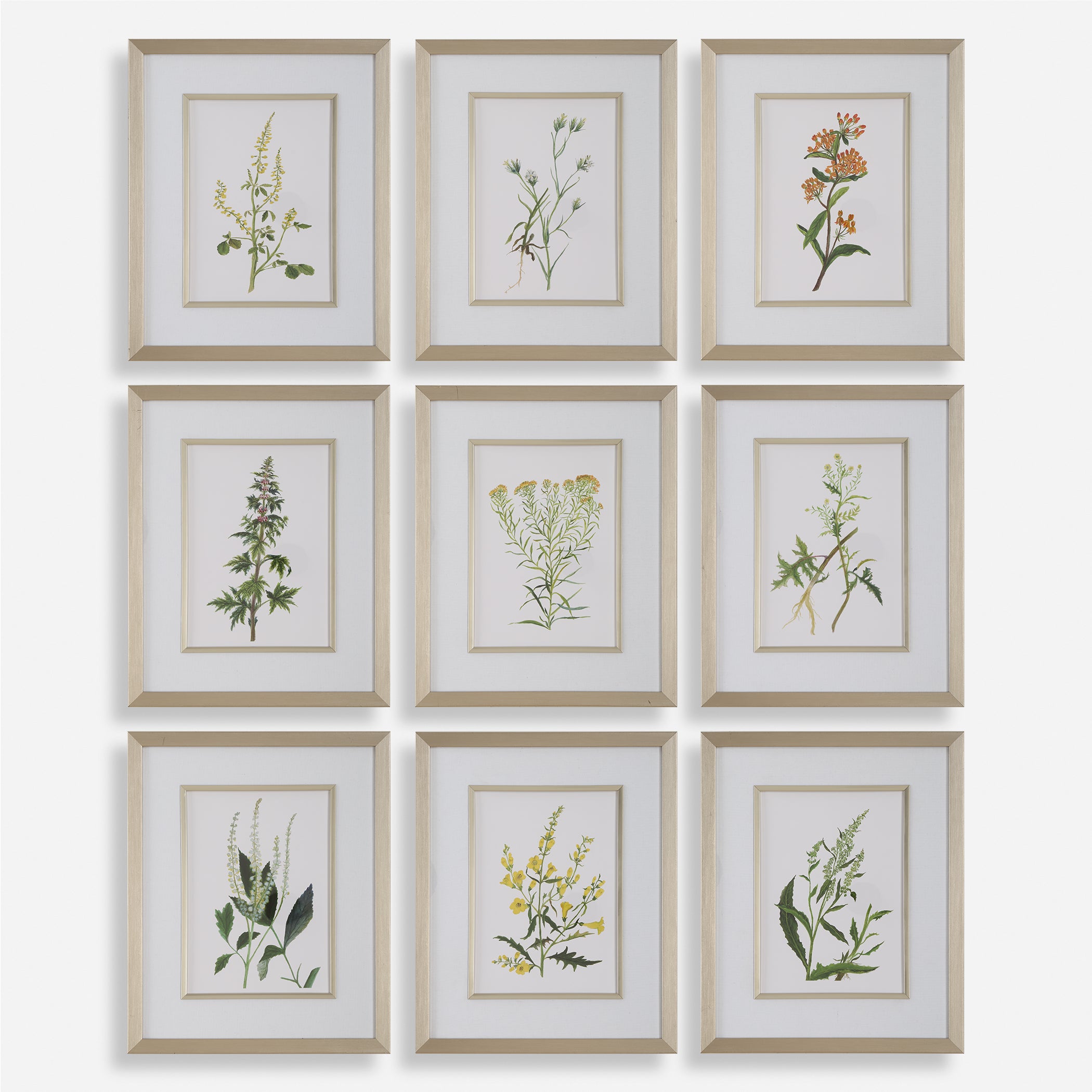 Uttermost Home Decor Uttermost Botanical Flowers Framed Prints, S/9