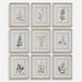 Uttermost Home Decor Uttermost Botanical Flowers Framed Prints, S/9