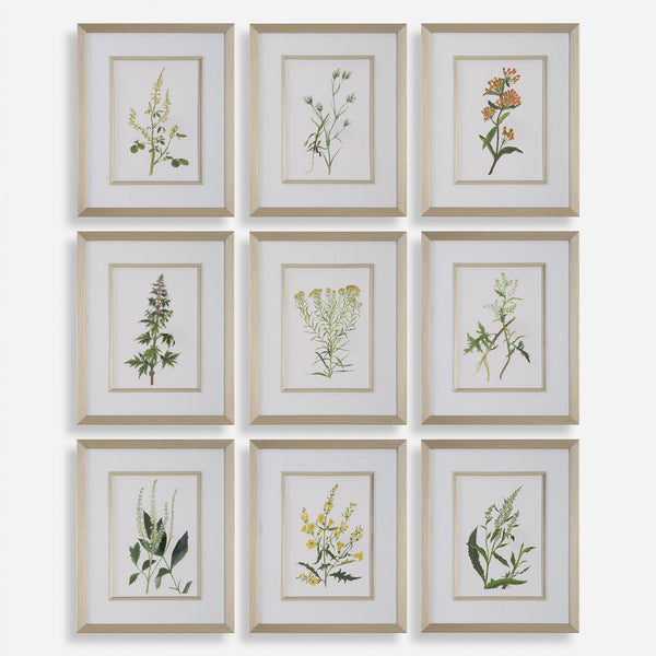 Uttermost Home Decor Uttermost Botanical Flowers Framed Prints, S/9