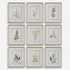 Uttermost Home Decor Uttermost Botanical Flowers Framed Prints, S/9