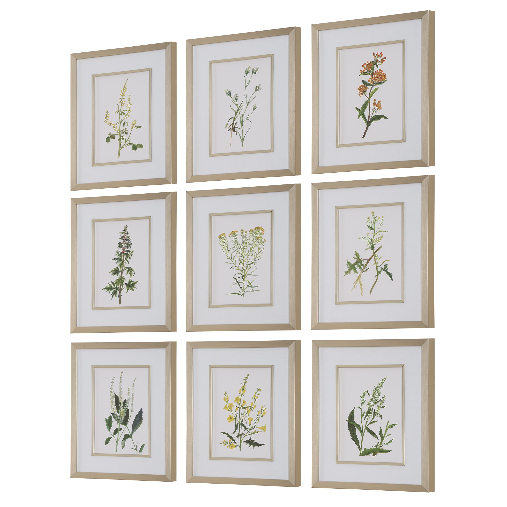 Uttermost Home Decor Uttermost Botanical Flowers Framed Prints, S/9