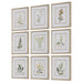 Uttermost Home Decor Uttermost Botanical Flowers Framed Prints, S/9