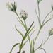 Uttermost Home Decor Uttermost Botanical Flowers Framed Prints, S/9