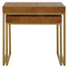 Uttermost Furniture Uttermost Burl-esque Wooden Nesting Tables, S/2