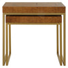Uttermost Furniture Uttermost Burl-esque Wooden Nesting Tables, S/2