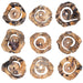 Uttermost Home Decor Uttermost Corkscrew Wood Wall Decor Set/9