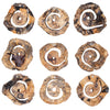 Uttermost Home Decor Uttermost Corkscrew Wood Wall Decor Set/9