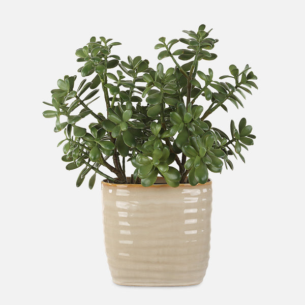 Uttermost Home Decor Uttermost Crassula Jade Accent Plant