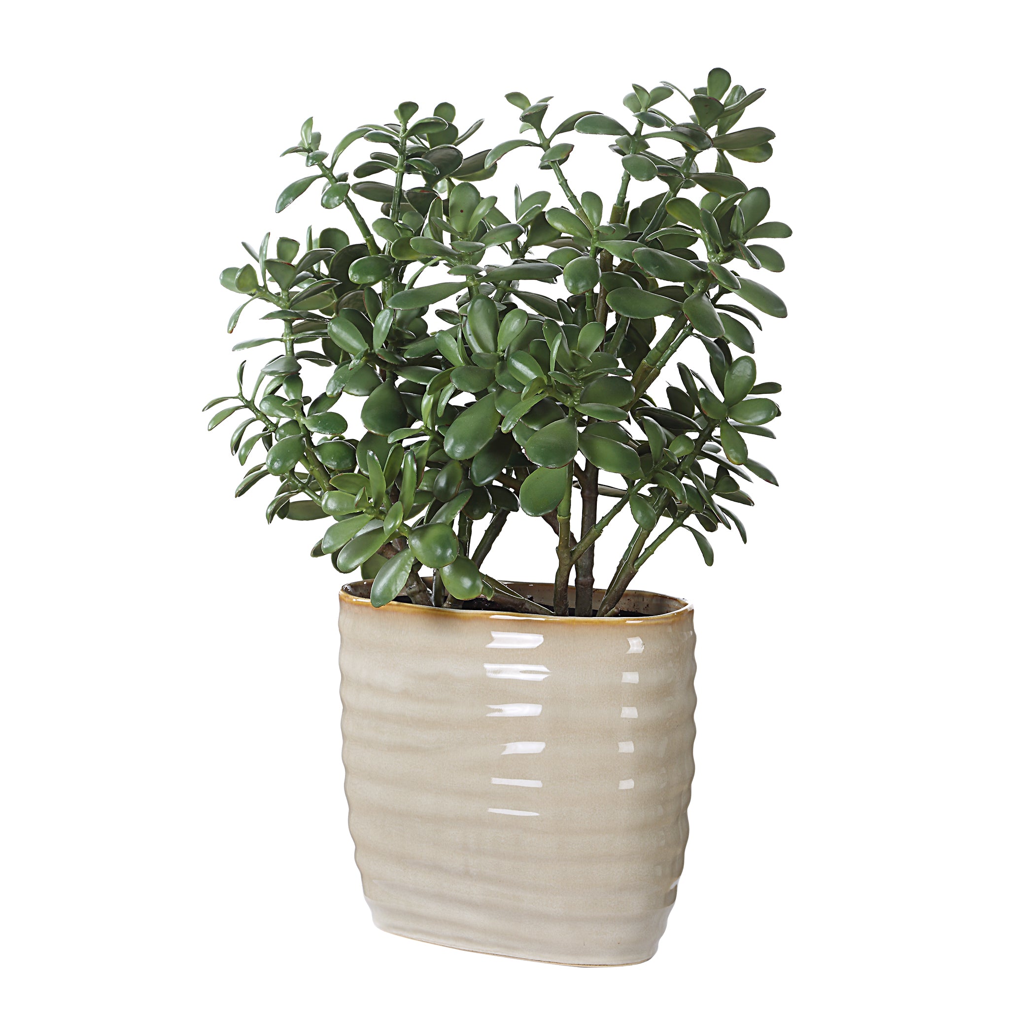 Uttermost Home Decor Uttermost Crassula Jade Accent Plant