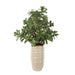 Uttermost Home Decor Uttermost Crassula Jade Accent Plant