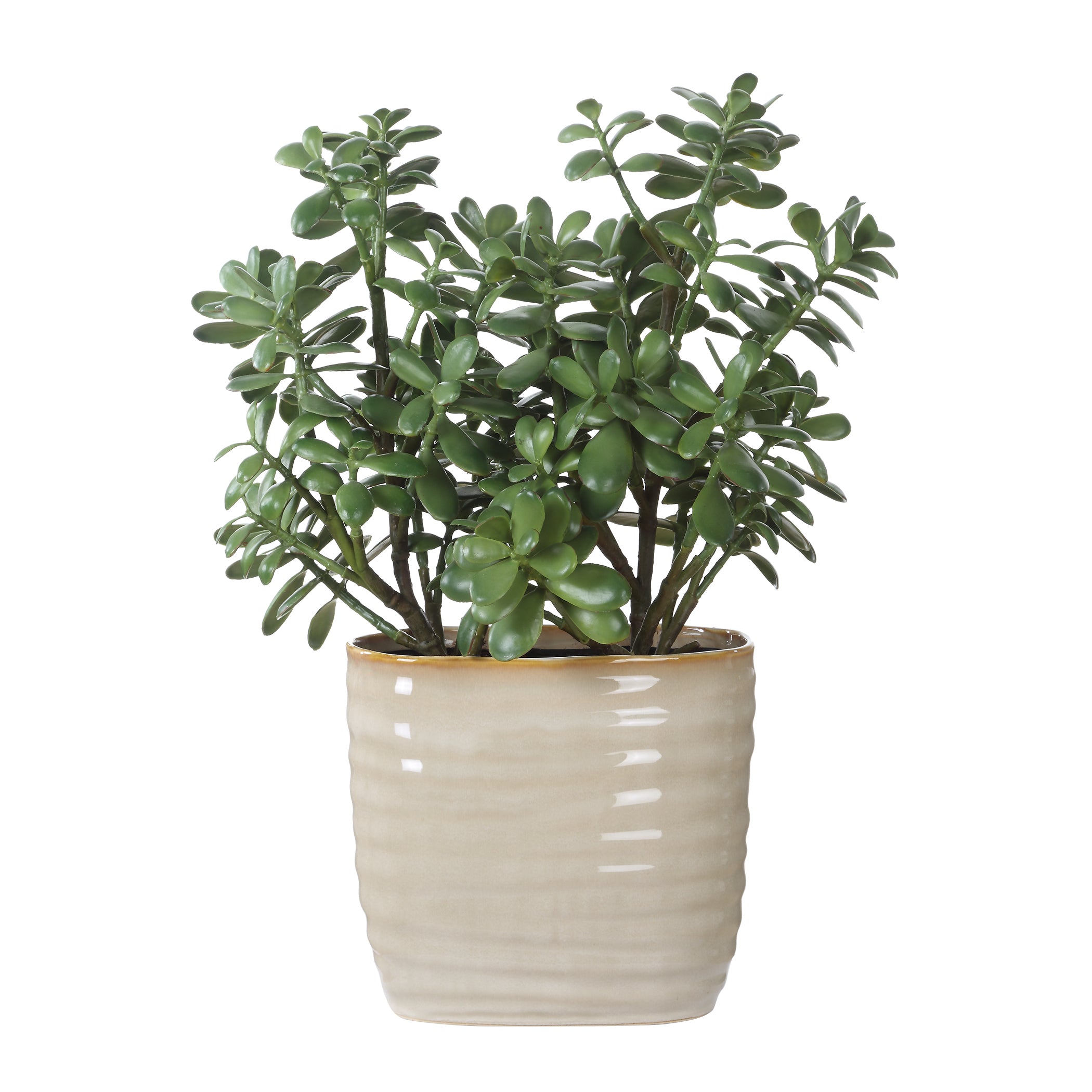 Uttermost Home Decor Uttermost Crassula Jade Accent Plant