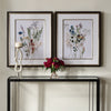 Uttermost Home Decor Uttermost Delicate Flowers Framed Prints, S/2