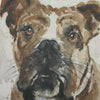 Uttermost Uttermost Dog Days Framed Prints Set/4